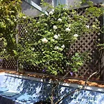 Apartament Dimora Dei Giganti Neapol